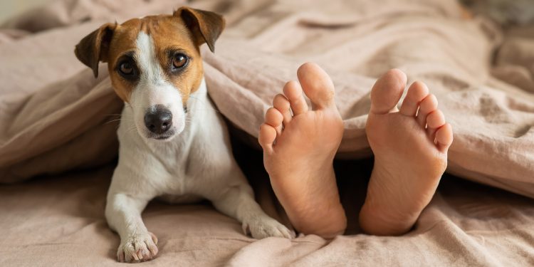Would my dog or cat really eat me if I died alone?