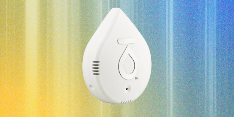 5 Best Water Leak Detectors (2026), Tested and Reviewed