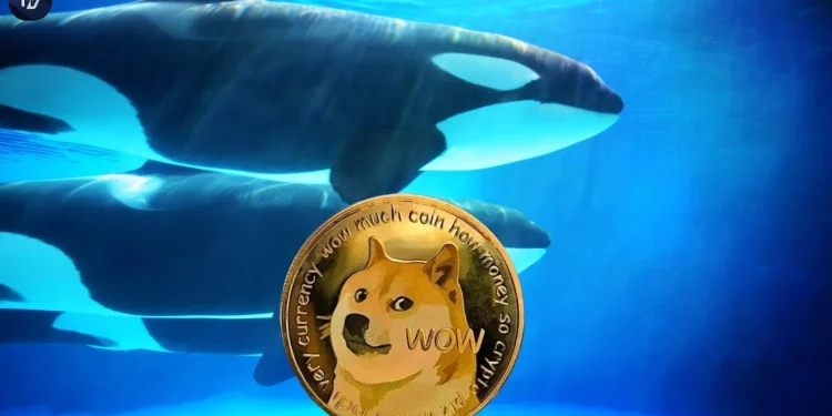 Dogecoin Whale Buying Surge Signals Rally Toward $0.300 Target Soon