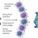 A double helix twist in HIV vaccine design | Science