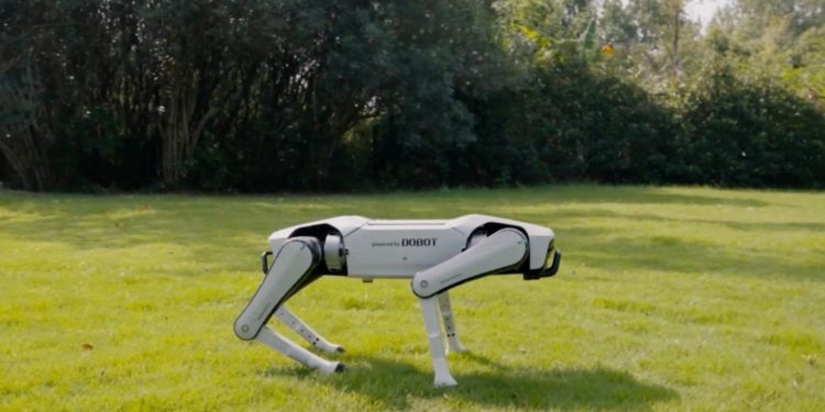 China’s Robot Dogs Do A Lot More Than Fetch