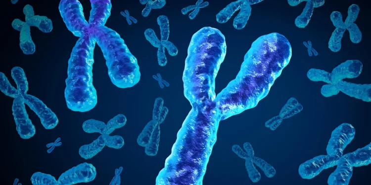 Men are losing a key chromosome with age and it may be deadly