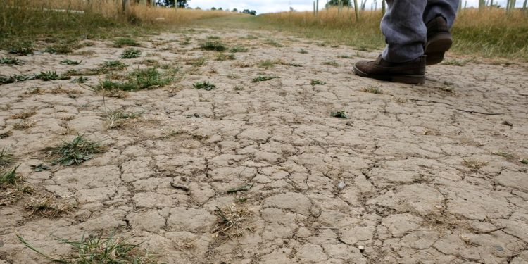 Drought could fuel the rise of antibiotic-resistant superbugs as climate change worsens, new research suggests