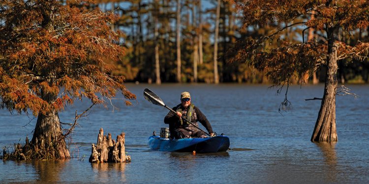 Winter Escape in Plaquemines Parish, Louisiana