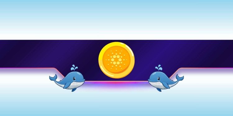 190,000,000 ADA in 1 Week: Is Cardano on the Verge of a Further Dump?