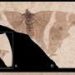Researchers present first fossilized ’emperor’ butterfly