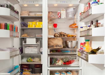 Scientists stress importance of regular fridge cleaning