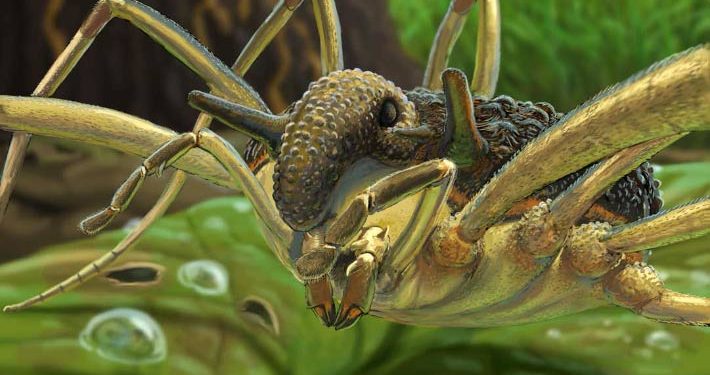 Bizarre Harvestman Species Found Preserved in Ukrainian and Baltic Amber