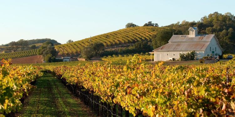 Napa Valley Guide: Where to Stay, Eat, and Sip in the Crown Jewel of California Wine Country