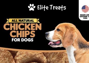 Dog treats recalled because of Salmonella