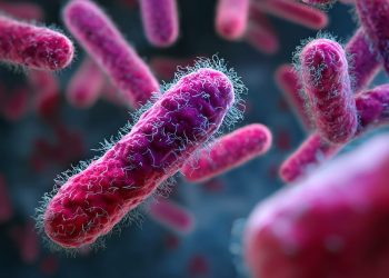FDA investigating new Salmonella outbreak