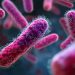 FDA investigating new Salmonella outbreak