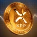 Why is XRP Price Going Up Today?