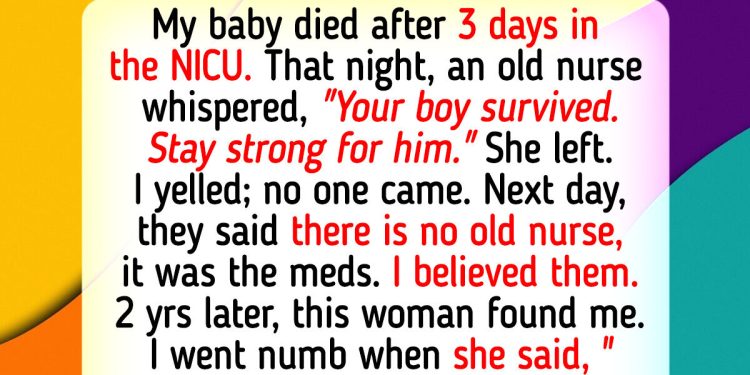 12 Moments That Remind Us Kindness and Compassion Are Quiet but Unstoppable Forces of Nature