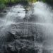 Rock‑Climbing Fish Scale a 50‑Foot Waterfall Using Tiny Hooks in Their Fins
