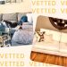 Our 4 Editor-Favorite Albany Park Sofas Are Now 40% Off