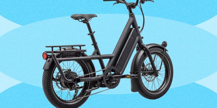 Best Electric Cargo Bikes (2026): Urban Arrow, Lectric, Tern, and More