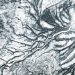Contours of the James Bay Lowlands