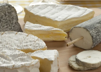 Scientists highlight options to improve raw milk cheese safety