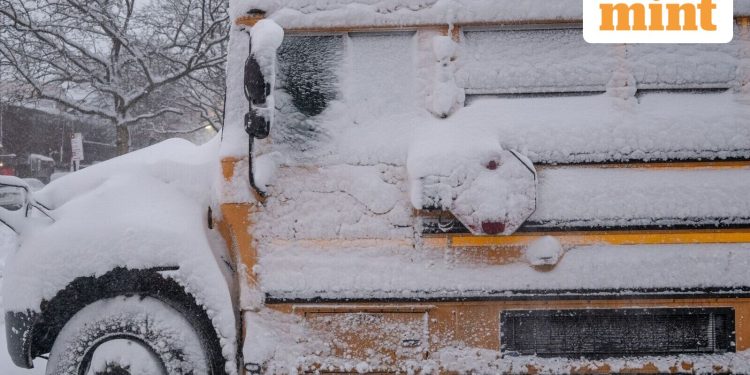 New York Blizzard: NYC public schools to open on Tuesday, February 24, travel ban lifted