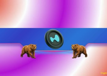 Hyperliquid (HYPE) Plunges by 11% Weekly: Further Losses on the Way?