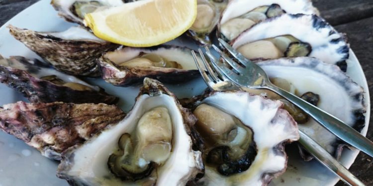 FDA issues warning about oysters from British Columbia
