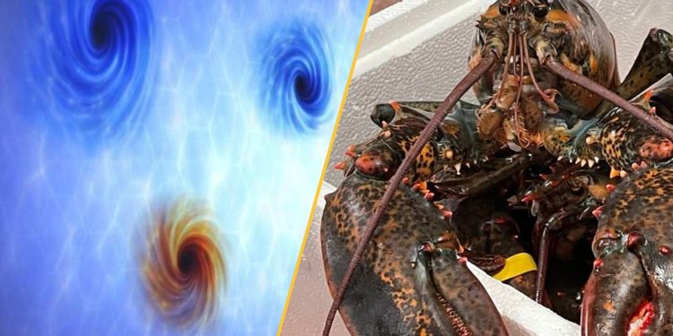 Science news this week: Physicists witness faster-than-light darkness pinpricks, humans are still evolving, and some polar bears are getting fatter than ever