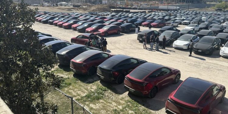 Combined Sightings of 100+ Possible Tesla Robotaxi Fleet