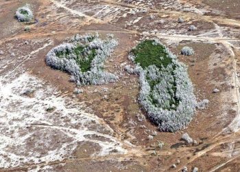 Florida is facing its most intense drought in 15 years. Here’s how it got so bad and how long it will last.