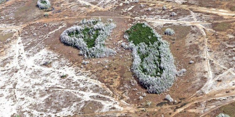 Florida is facing its most intense drought in 15 years. Here’s how it got so bad and how long it will last.