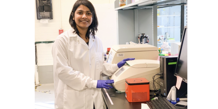 Scientists say nanoplastics can cause Salmonella to become stronger