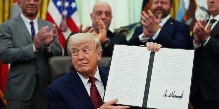 Trump Signs Order to Speed Review of Controversial Ibogaine, Other Psychedelics