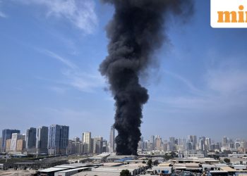 US-Iran conflict: No commotion here, say UAE tourists; Emirates, Etihad resume limited flights from Dubai and Abu Dhabi