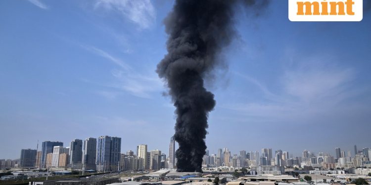 US-Iran conflict: No commotion here, say UAE tourists; Emirates, Etihad resume limited flights from Dubai and Abu Dhabi