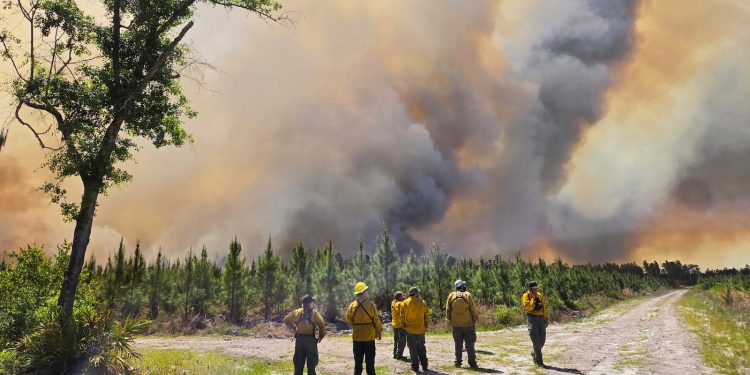 What’s driving the catastrophic wildfires in Georgia