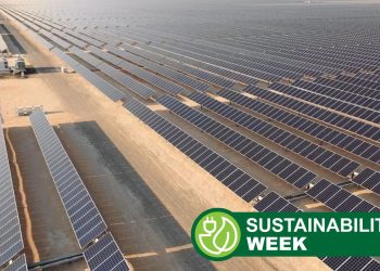 It’s finally happened — renewable energy just overtook coal as the world’s main source of electricity as solar growth hits ‘the largest ever observed for any source’