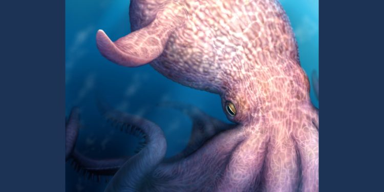 65-foot-long octopuses ruled ancient oceans
