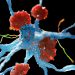 Alzheimer’s Drug Review Ignites Backlash From Experts