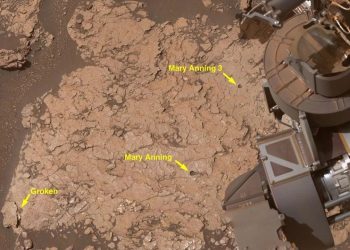 NASA rover uncovers rock with 7 new organic molecules on Mars — the ‘most diverse collection’ ever seen
