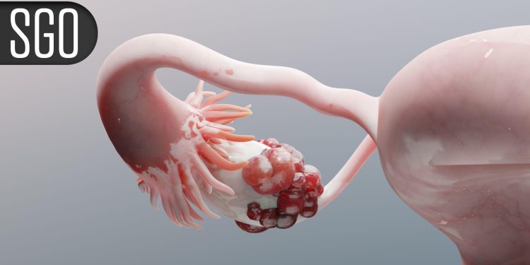 Encouraging Activity in Poor-Risk Endometrial Cancer With HER2-Targeted Novel Drug