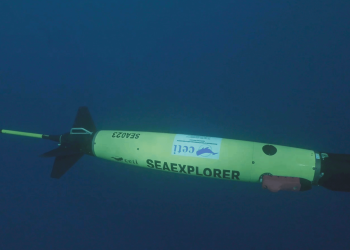 The ‘Waymo of the sea’ tracks sperm whale conversations