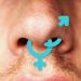 Sniffies’ Users Worry About a ‘Straightification’ of the Gay Hookup App