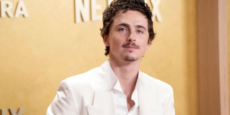 Ballet Dancers and Opera Singers Are Mad at Timothée Chalamet