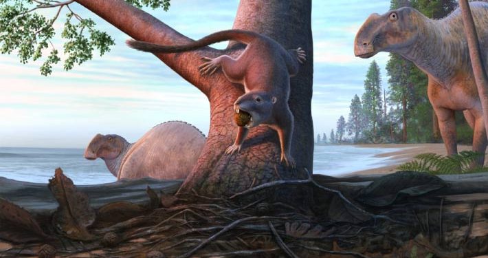 Omnivorous, Rodent-Like Mammal Lived in Dinosaurs’ Shadow on Pacific Coast