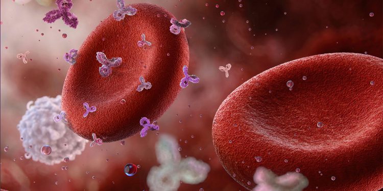 Anti-CD38 Antibody Safe, Effective in Immune Thrombocytopenia