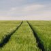 ‘Parallel Life Syndrome’:  Why Long-Term Relationships Lose Their Spark