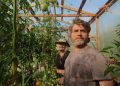 While Zach Galifianakis finds peace in gardening, I’m at war with raccoons