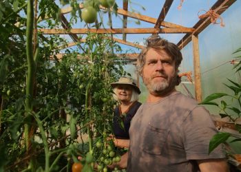 While Zach Galifianakis finds peace in gardening, I’m at war with raccoons