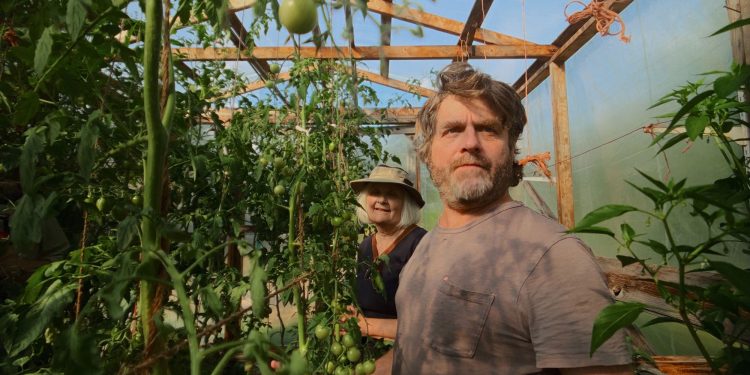 While Zach Galifianakis finds peace in gardening, I’m at war with raccoons