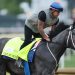 Kentucky Derby: Ranking the horse names from great (Commandment) to ridiculous (Wonder Dean)